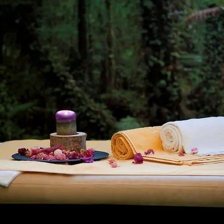 فندق Madeira Panoramico فونشال