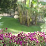 Otel Madeira Panoramico Funchal