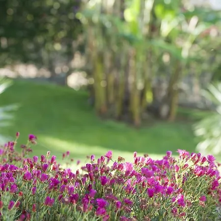 מלון Madeira Panoramico פונשל