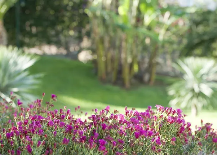 Hotel Madeira Panoramico Funchal (Madeira)