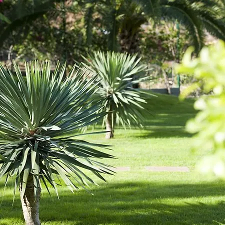 Madeira Panoramico Hotel